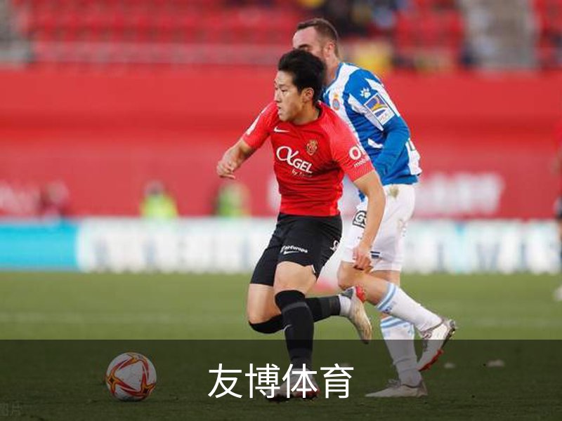 走进友博体育